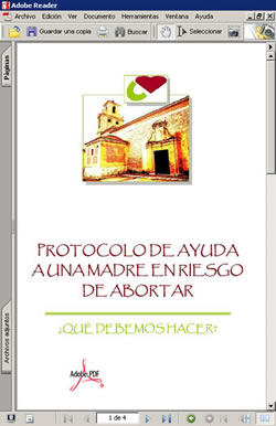 pdf - protocolo de ayuda a una madre en riesgo de abortar